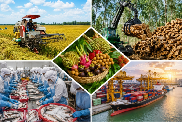 Xuất khẩu 8 tháng đạt gần 375 tỷ USD, dư địa tăng trưởng còn lớn